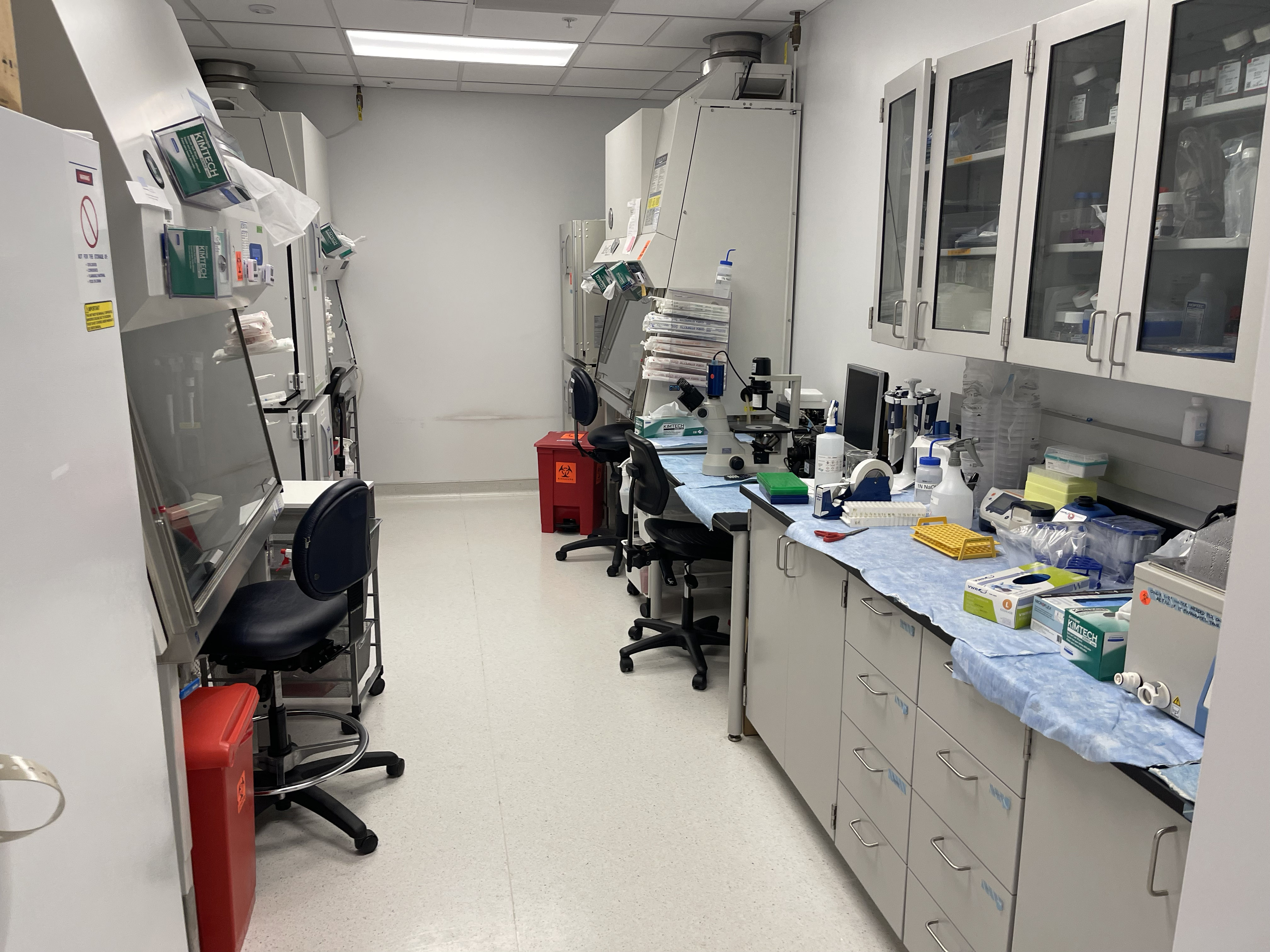IND lab room