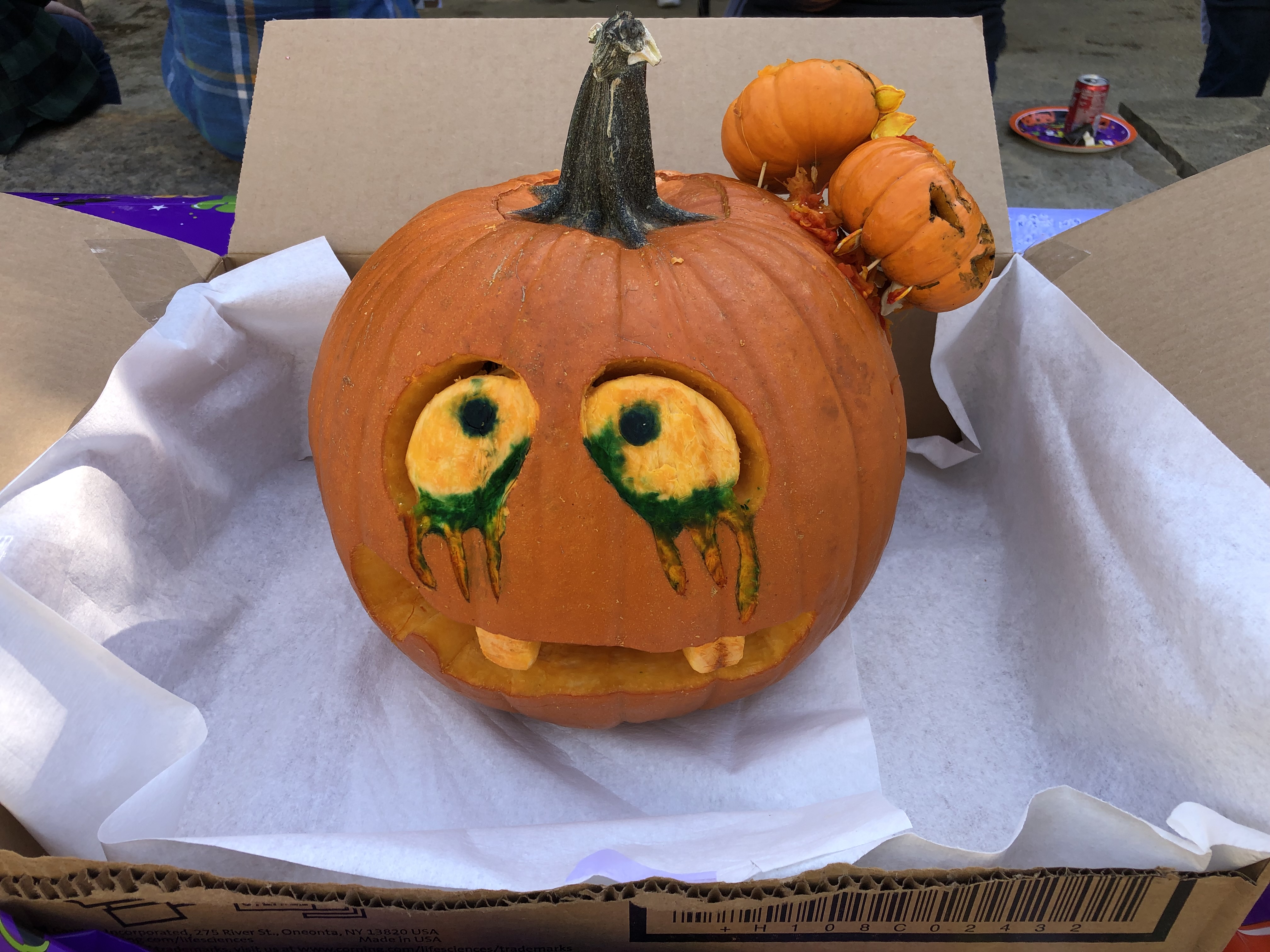 Carved Pumpkin #1