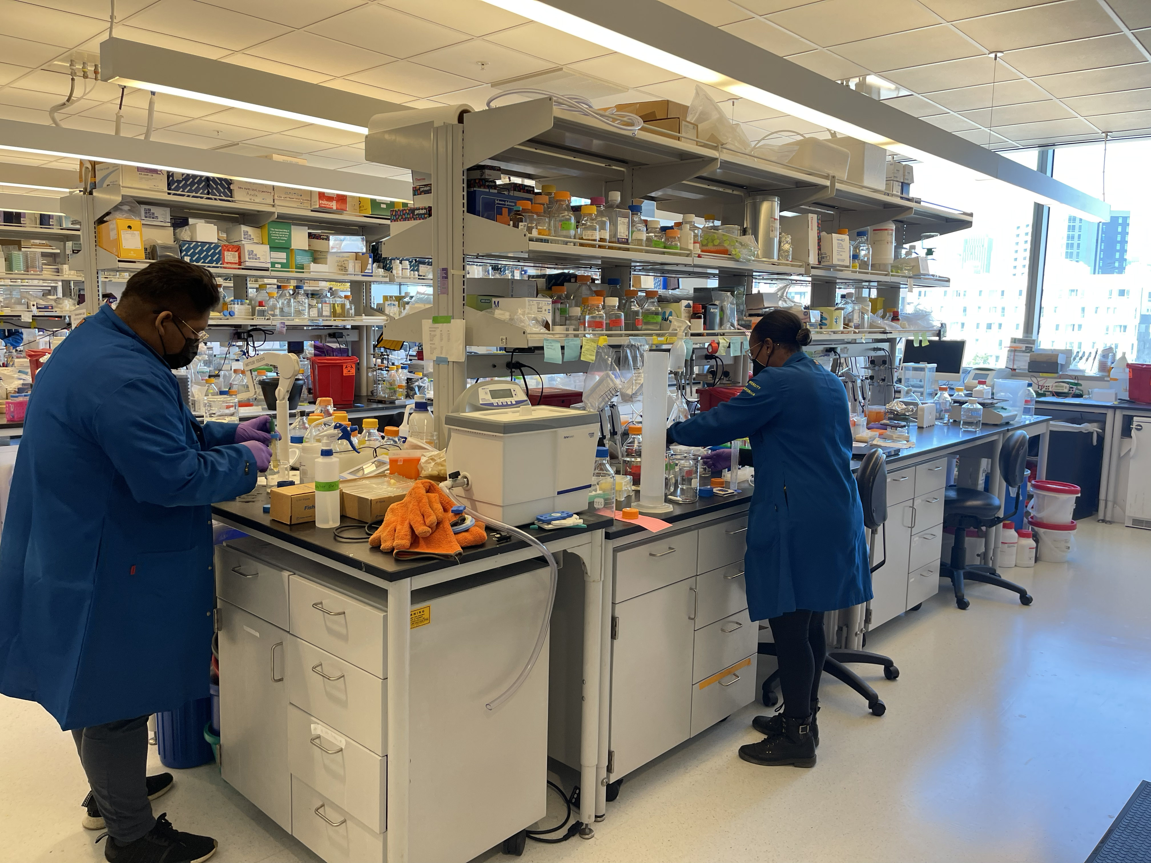 IND members working in the lab