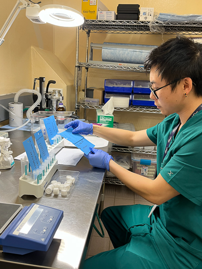 Animal facility worker at lab bench