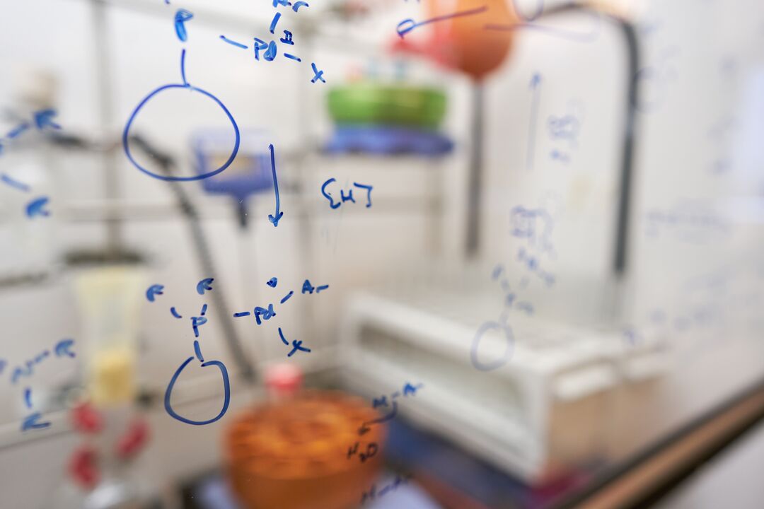 Writing on glass of fume hood in chemistry lab